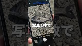 釣果アプリの作り方